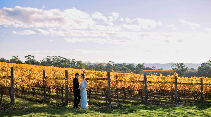 picturesque vineyards